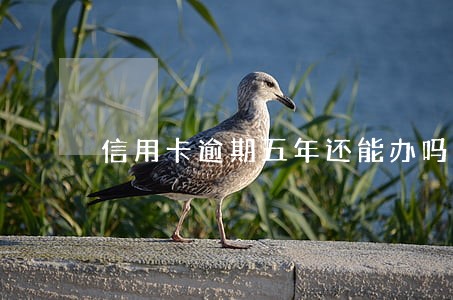 信用卡逾期五年还能办吗 信用卡逾期五年还能办吗