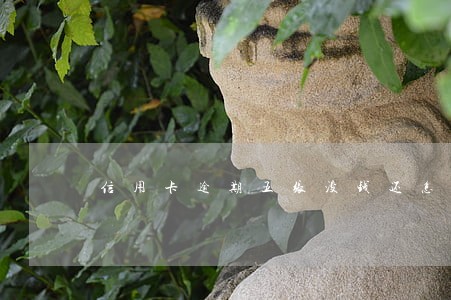 信用卡逾期五张没钱还怎么办 信用卡逾期五张没钱还怎么办