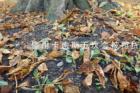 信用卡逾期五次会被拒贷款嘛