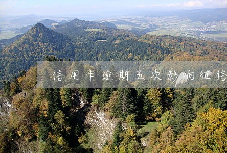 信用卡逾期五次影响征信吗