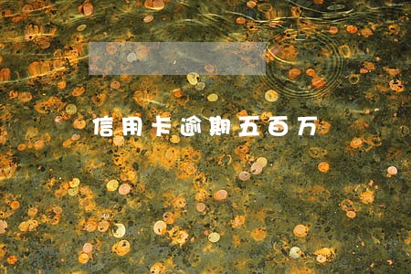 信用卡逾期五百万 信用卡逾期五百万