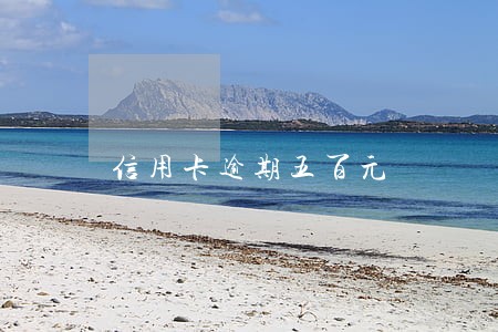 信用卡逾期五百元 信用卡逾期五百元