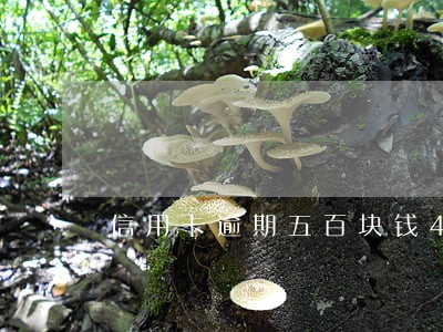 信用卡逾期五百块钱4天上征信吗