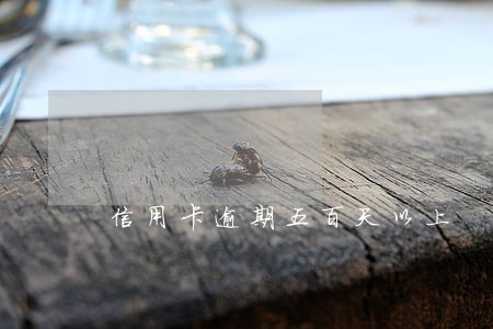信用卡逾期五百天以上 信用卡逾期五百天以上