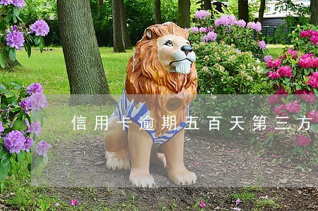 信用卡逾期五百天第三方上门核实