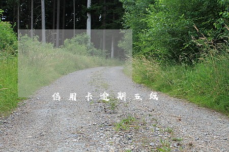 信用卡逾期五级 信用卡逾期五级