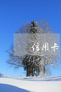信用卡逾期五险可以交吗 信用卡逾期五险可以交吗