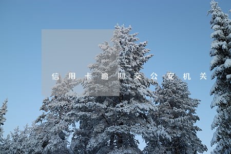 信用卡逾期交公安机关 信用卡逾期交公安机关