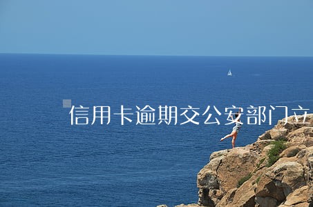 信用卡逾期交公安部门立案