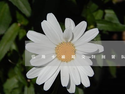 信用卡逾期交到刑警队了 信用卡逾期交到刑警队了