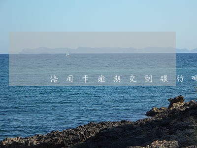 信用卡逾期交到银行哪个部门 信用卡逾期交到银行哪个部门