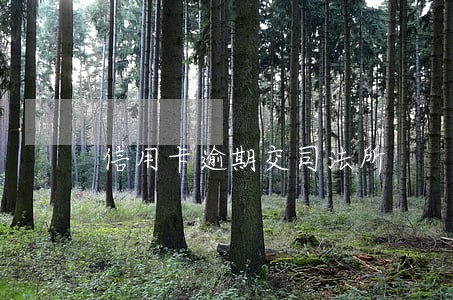 信用卡逾期交司法所 信用卡逾期交司法所