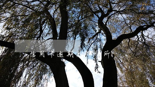 信用卡逾期交律师所 信用卡逾期交律师所