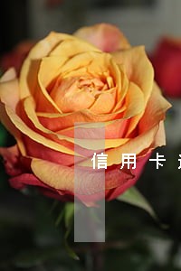 信用卡逾期交易凭证 信用卡逾期交易凭证