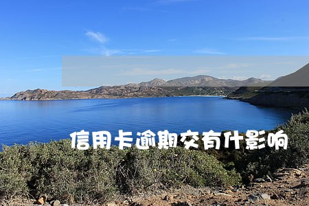 信用卡逾期交有什影响