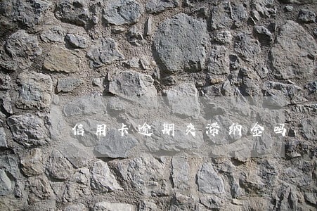 信用卡逾期交滞纳金吗
