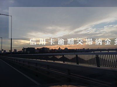 信用卡逾期交滞纳金多少