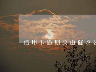 信用卡逾期交由催收公司 信用卡逾期交由催收公司