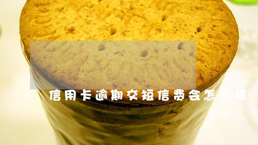 信用卡逾期交短信费会怎么样 信用卡逾期交短信费会怎么样