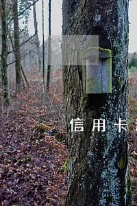 信用卡逾期交社保会找到公司吗 信用卡逾期交社保会找到公司吗