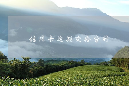 信用卡逾期交给分行 信用卡逾期交给分行