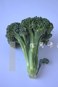 信用卡逾期交给委托方 信用卡逾期交给委托方