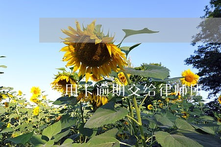 信用卡逾期交给律师所 信用卡逾期交给律师所