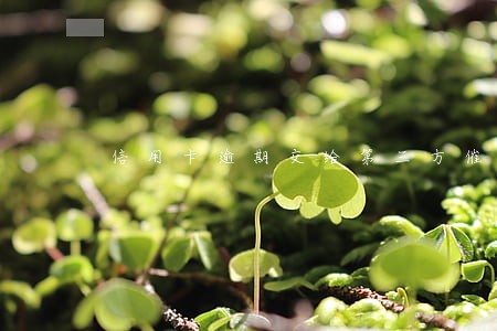 信用卡逾期交给第三方催收 信用卡逾期交给第三方催收