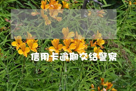 信用卡逾期交给警察 信用卡逾期交给警察