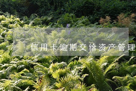 信用卡逾期交给资产管理公司 信用卡逾期交给资产管理公司