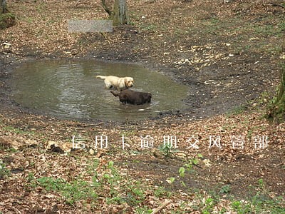 信用卡逾期交风管部 信用卡逾期交风管部