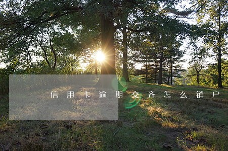 信用卡逾期交齐怎么销户