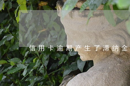信用卡逾期产生了滞纳金 信用卡逾期产生了滞纳金