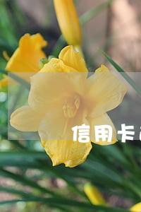 信用卡逾期产生信用会影响哪些 信用卡逾期产生信用会影响哪些