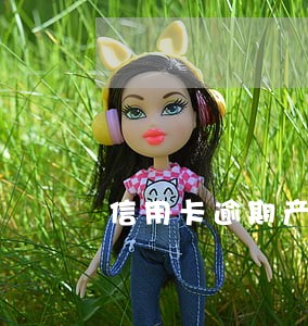 信用卡逾期产生利息怎么办