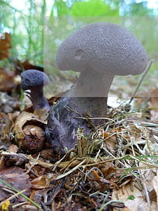 信用卡逾期产生利息罚息 信用卡逾期产生利息罚息