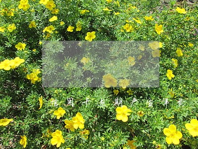 信用卡逾期产生年费 信用卡逾期产生年费