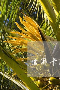 信用卡逾期产生滞纳金6