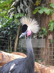 信用卡逾期产生滞纳金合法吗 信用卡逾期产生滞纳金合法吗