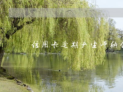 信用卡逾期产生滞纳金怎么办 信用卡逾期产生滞纳金怎么办