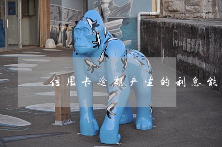 信用卡逾期产生的利息能不能减免 信用卡逾期产生的利息能不能减免