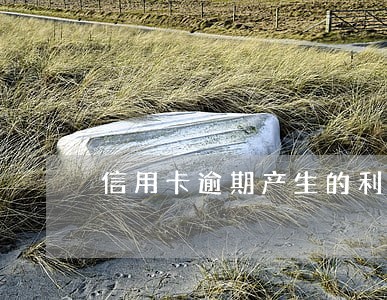 信用卡逾期产生的利息都要还吗