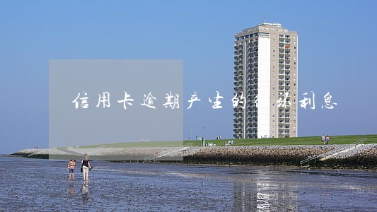 信用卡逾期产生的循环利息