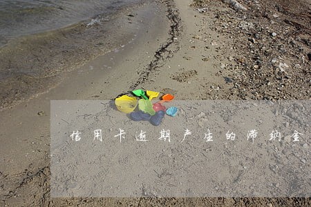 信用卡逾期产生的滞纳金合法吗 信用卡逾期产生的滞纳金合法吗