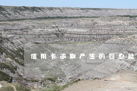 信用卡逾期产生的罚息能减免吗 信用卡逾期产生的罚息能减免吗