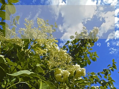 信用卡逾期产生的费用怎么追回 信用卡逾期产生的费用怎么追回
