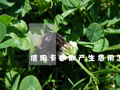 信用卡逾期产生费用怎么减免