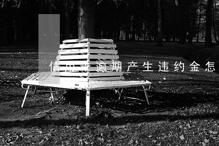 信用卡逾期产生违约金怎么办浦发
