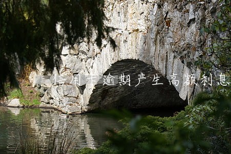 信用卡逾期产生高额利息