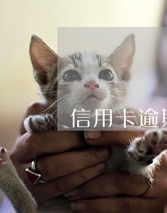 信用卡逾期亲戚朋友催账怎么办 信用卡逾期亲戚朋友催账怎么办